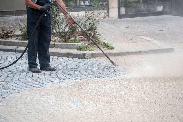 Best Roof Washing  in Monroe, WA
